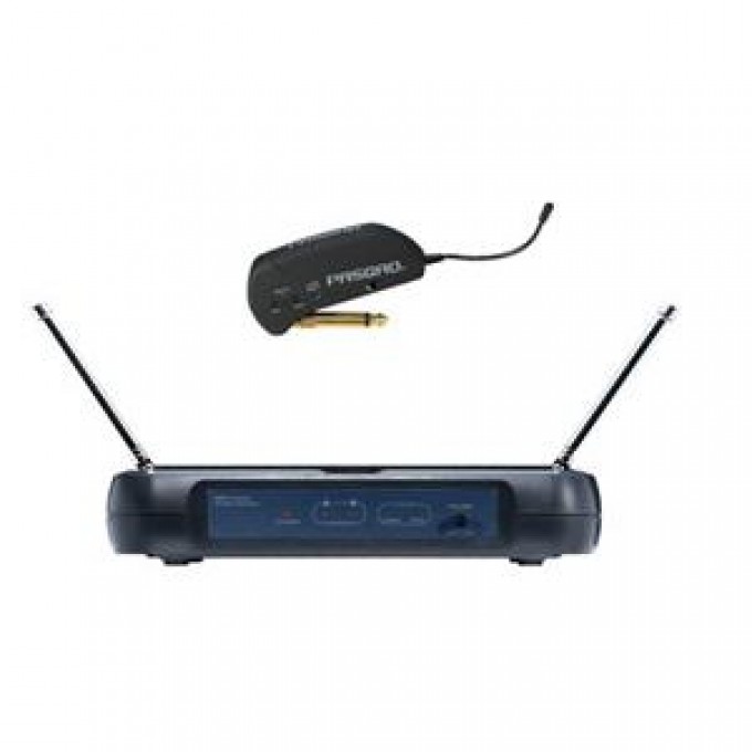 Радиосистема инструментальных PASGAO PAW110-PG20 17667